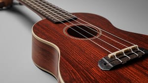 Dark ukulele.