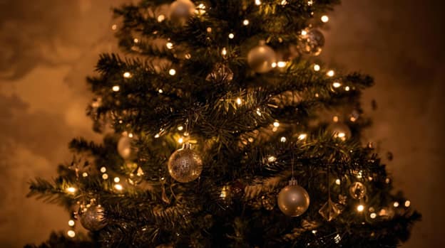 Christmas tree with white lights and ornaments.